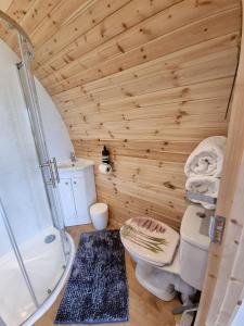 a wooden bathroom with a toilet and a shower at Forester's Retreat Glamping - Dinas View in Aberystwyth