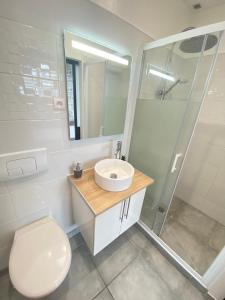 y baño con aseo, lavabo y ducha. en Le Rémois - PARKING - Cour privative - WIFI, en Reims