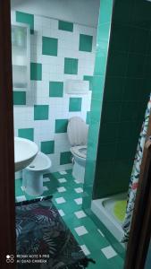 baño verde y blanco con aseo y lavamanos en La casetta del Pastore en Sulmona