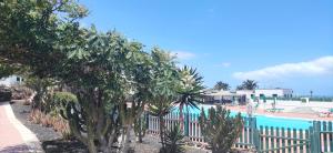 Fotografia z galérie ubytovania CASA ALICE COCOSOL v destinácii Costa de Antigua
