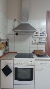 A kitchen or kitchenette at Island house in Elika - Marathias