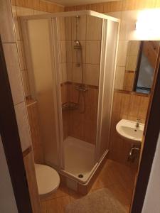 e bagno con doccia, servizi igienici e lavandino. di Penzion U Bušů a Malá Bystřice