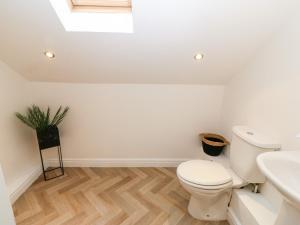 a bathroom with a toilet and a sink at Yr Hen Efail in Cemaes Bay +19 photos