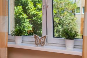 グダニスクにあるApartament Orzełの鉢植えの植物が2本並ぶ窓枠に座る蝶