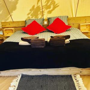 a bed with pillows on it with at Cowcooning / Family tents in Huldenberg