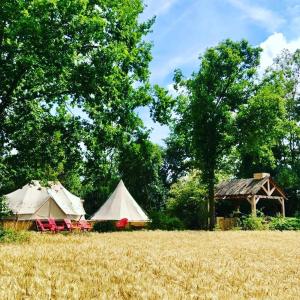 due tende e sedie in un campo di fieno di Cowcooning / Family tents a Huldenberg