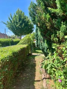 a path through a hedge with trees and flowers at Lilo Luisa in Weinheim