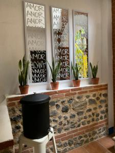 Foto dalla galleria di Why Not Hotel a Antigua Guatemala