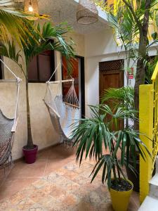 Giardino di Why Not Hotel