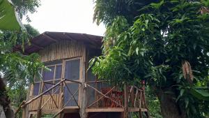 ein Baumhaus mitten im Wald in der Unterkunft Cabañas Privadas Dilany in Moyogalpa