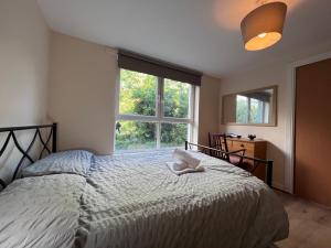 a bedroom with a bed and a large window at Lovely 2-Bed Serviced apartment with free parking in Glasgow