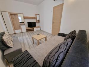 TV a/nebo společenská místnost v ubytování Secret Garden Apartment