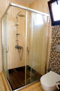 a shower in a bathroom with a toilet at Sapanca Manzara Villa 1 Isıtma Havuzlu in Sapanca