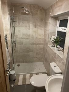 a bathroom with a shower and a toilet and a sink at Two bed holiday home in Conwy in Conwy