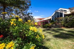 a garden with yellow flowers in front of a house at Jervis Bay Beachfront in Vincentia