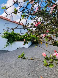 Billede fra billedgalleriet på QUINTA DA CORTE i Santiago do Cacém + 26 billeder