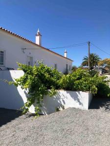 Billede fra billedgalleriet på QUINTA DA CORTE i Santiago do Cacém