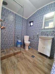 a bathroom with a toilet and a sink and a shower at Casute la "Doi pasi de Castel" in Hunedoara +69 photos