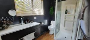 a bathroom with a white sink and a toilet at Waitapu Springs B&B in Takaka