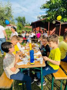 a group of children sitting at a picnic table eating food at Casute la "Doi pasi de Castel" in Hunedoara