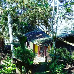 a house with a thatched roof in the forest at Pochotel Natural in Turrialba