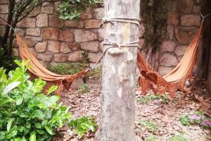 a hammock tied to a tree in front of a stone wall at El descanso de Odín ¡Una auténtica posada vikinga! in Mataelpino