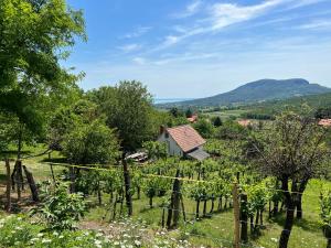 Naturlandskabet i nærheden af lejligheden