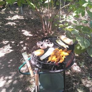 a grill with a bunch of food on it at El descanso de Odín ¡Una auténtica posada vikinga! in Mataelpino