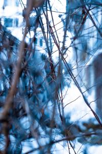 Fotografie z fotogalerie ubytování 古民家宿Tani House Itaya -セルフチェックイン v destinaci Tokamači