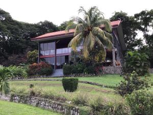una palmera frente a una casa en Jodokus Inn en Montezuma