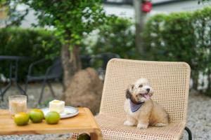 Gallery image of The Singha Hotel Chiang Mai - SHA Certified in Chiang Mai