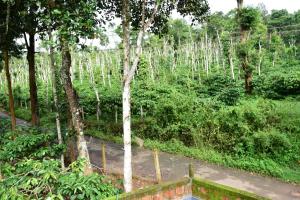 Zahrada ubytování Pauls Retreat Wayanad