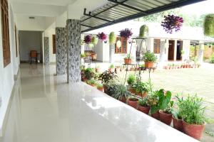 Zahrada ubytování Pauls Retreat Wayanad