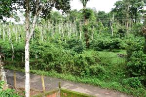 Zahrada ubytování Pauls Retreat Wayanad