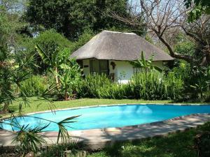 ein kleines Haus mit einem blauen Pool davor in der Unterkunft Caprivi River Lodge in Katima Mulilo