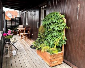 a large green plant in a wooden planter on a deck at Ferienwohnung Hölzene in Gersfeld