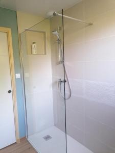 y baño con ducha y puerta de cristal. en Gîte Les Demoiselles des Sorgues, en LʼIsle-sur-la-Sorgue