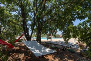 Fotografie z fotogalerie ubytování Intero apt Trullo Colle Specchia v destinaci Cisternino