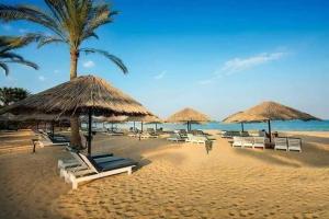 a beach with chairs and straw umbrellas and the ocean at palmera el sokhna in Suez