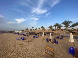 a sandy beach with chairs and umbrellas and palm trees at palmera el sokhna in Suez