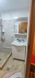 a bathroom with a sink and a shower at Căsuța din livadă in 2 Mai