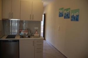 Kuchyň nebo kuchyňský kout v ubytování Xanthiotis Apartments