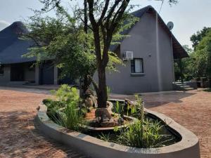 een tuin voor een huis met een boom bij Kanimambo Kruger in Marloth Park