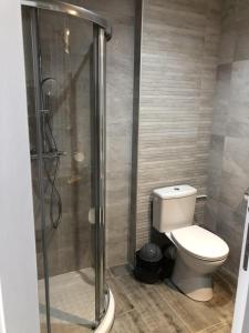 La salle de bains est pourvue de toilettes et d'une douche en verre. dans l'établissement Studio Place 28 à Joue sur Erdre, à Joué-sur-Erdre
