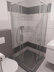 eine Duschkabine im Bad mit WC in der Unterkunft Penzion TOŠA in Klášterec nad Ohří