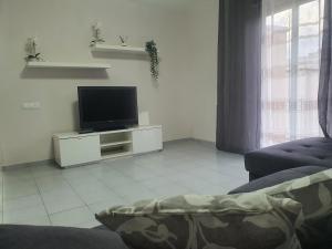 A television and/or entertainment centre at Apartamento Rio Turia