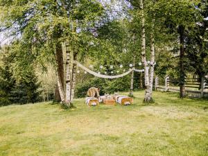 a horse grazing in a field next to trees at Dom w Milówce in Milówka