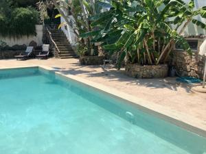 a blue swimming pool with a palm tree and stairs at Tatiana Studio with Private Pool in Akrotiri