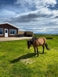 Gallery image of Beautiful house in the nature of West Iceland in Borgarnes