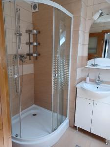 a bathroom with a shower and a sink at Casa Mario in Sibiu